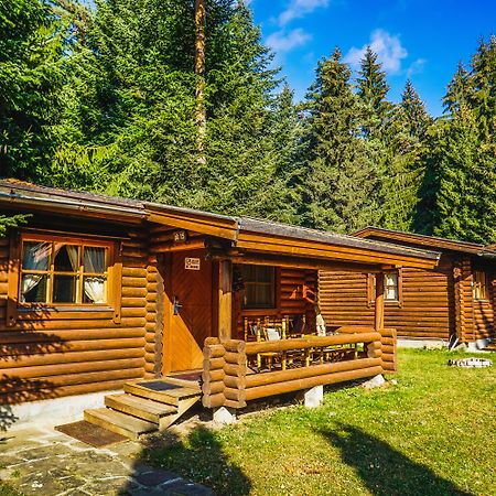 Villa Yagoda Borovets Exteriör bild